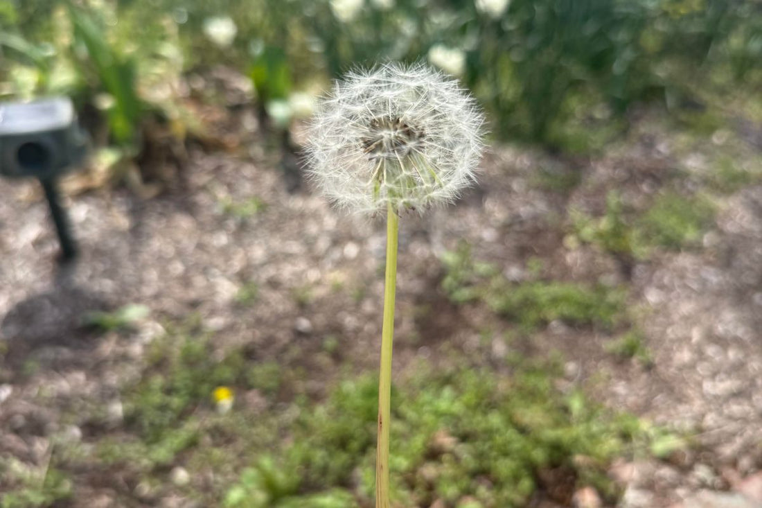 How to Come Back to Your Creative Life After a Long Break (Without Pressure or Guilt)